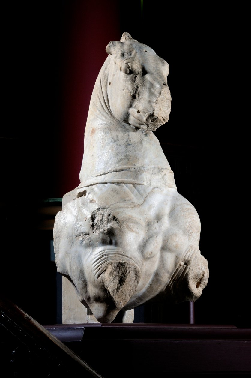 Vorderteil eines Pferdes von Roman Roman