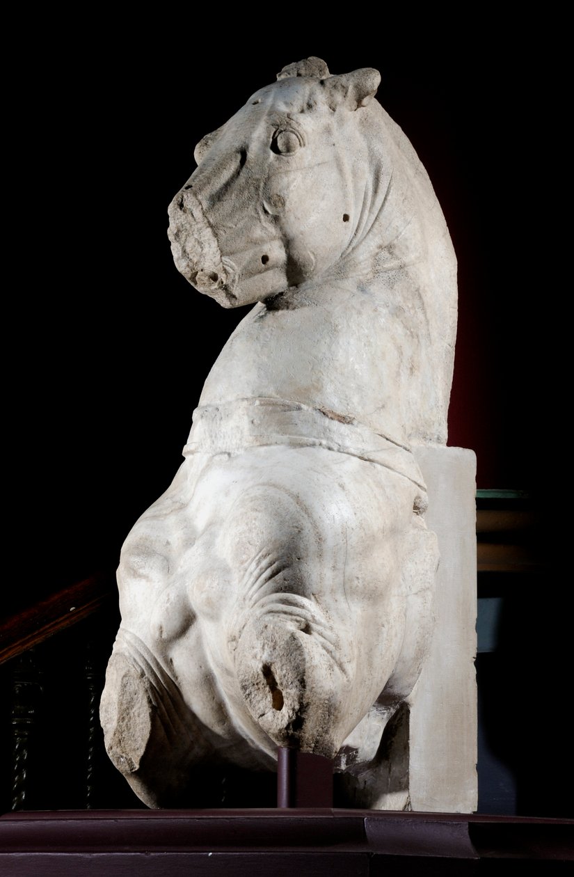 Vorderteil eines Pferdes von Roman Roman