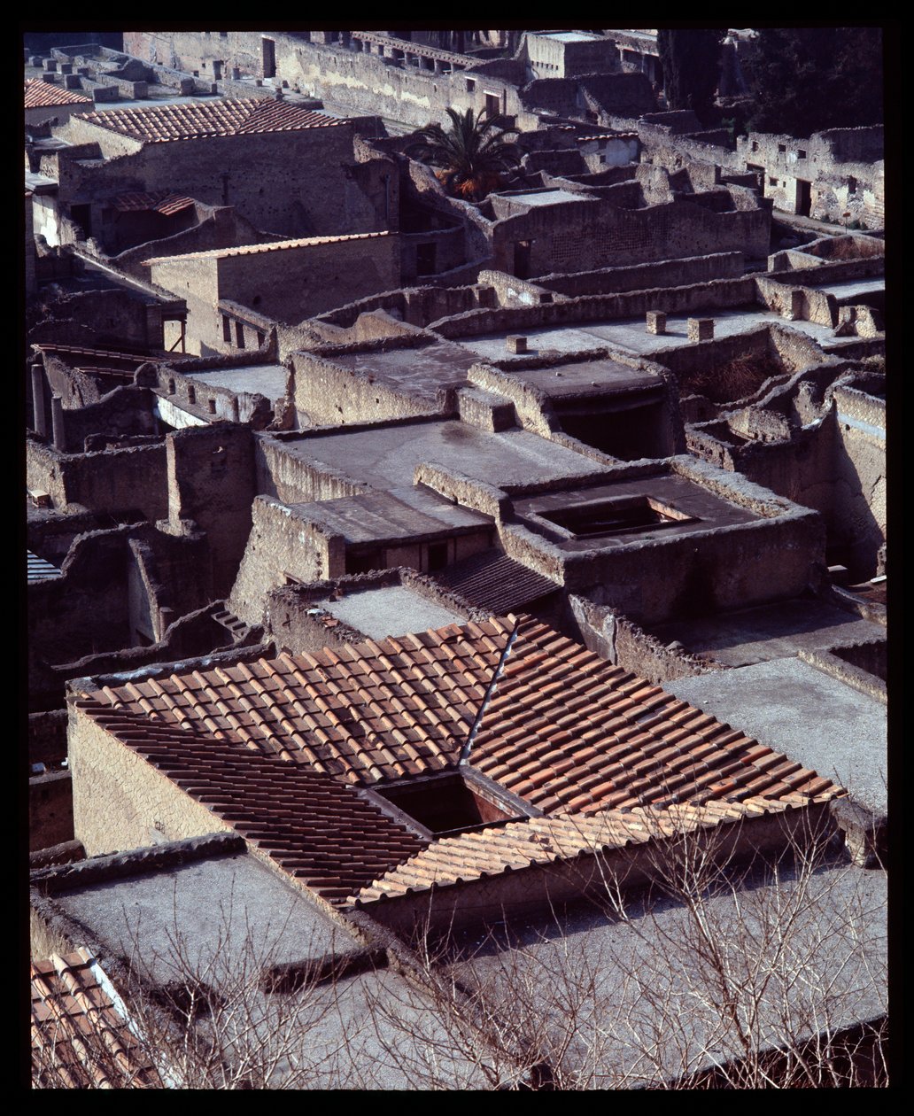Ansicht des Casa sannitica von Roman Roman