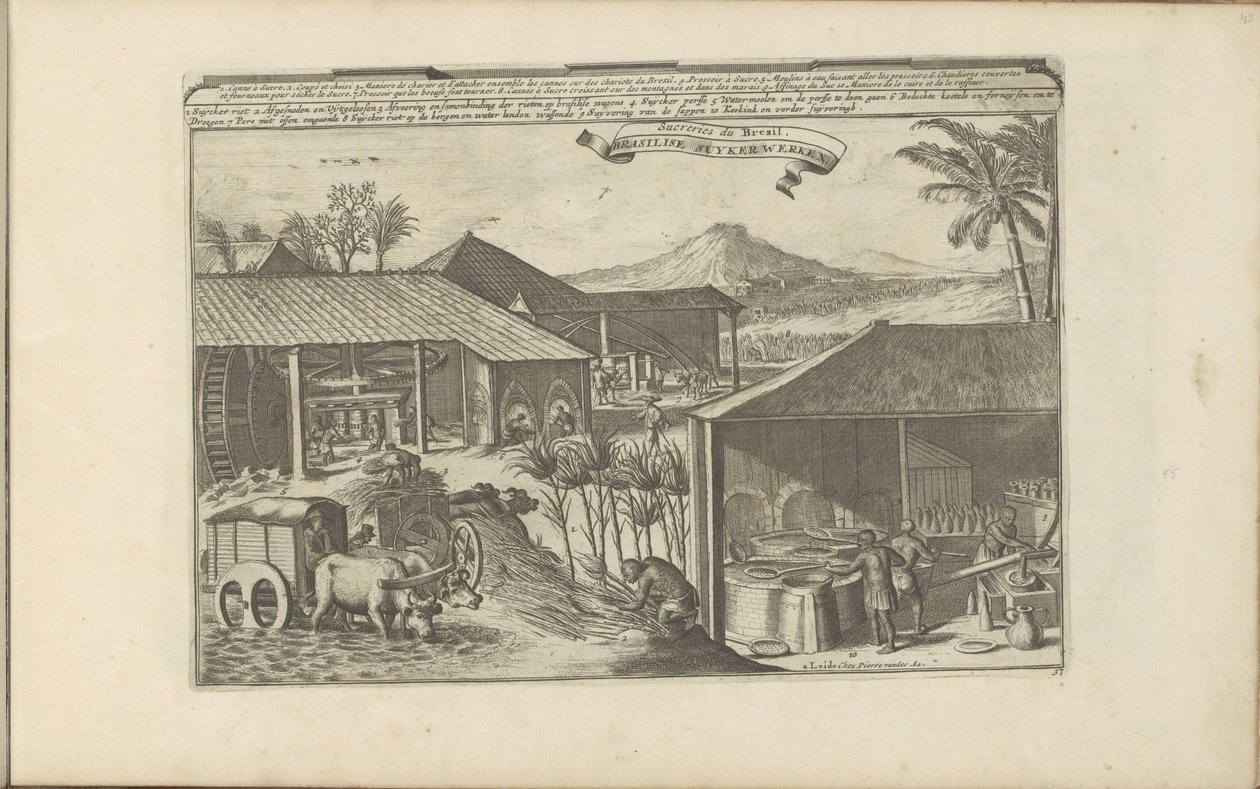 Brasilianische Zuckerarbeiter von Romeyn de Hooghe