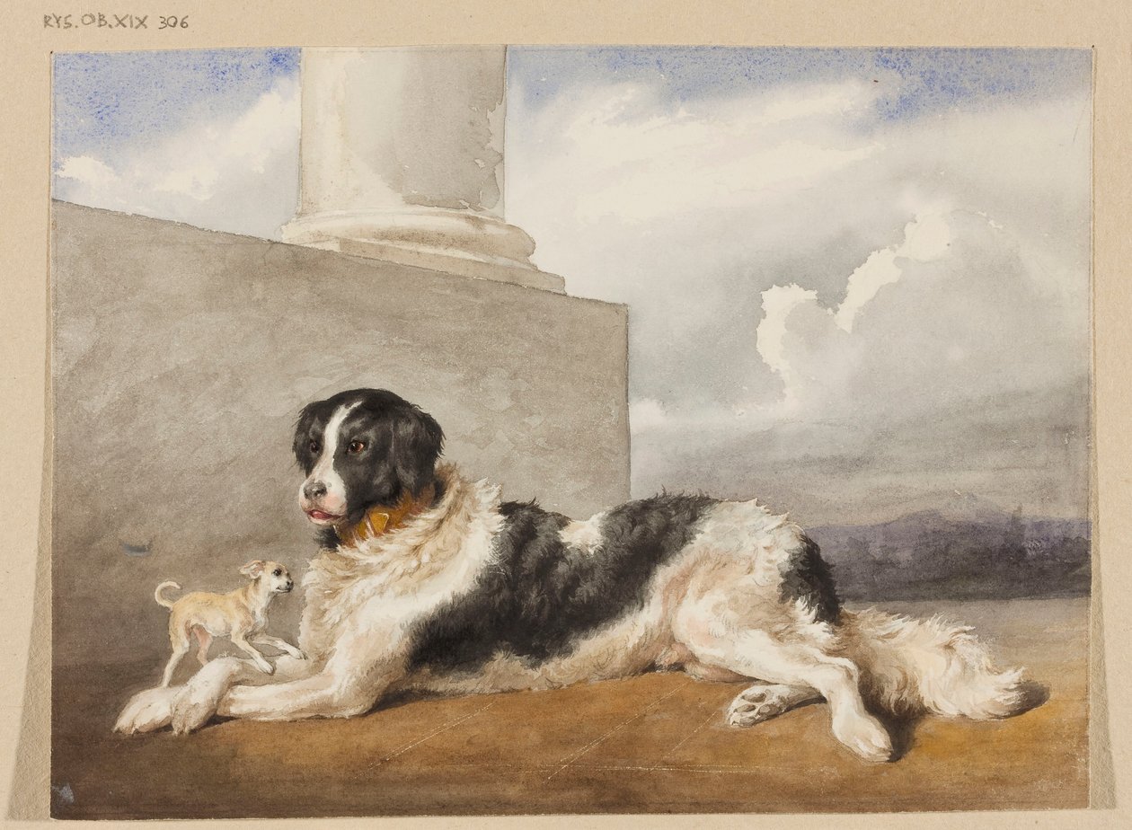 Hunde der Fürsten Czartoryski Sultan und Rosette von Rosa Bonheur