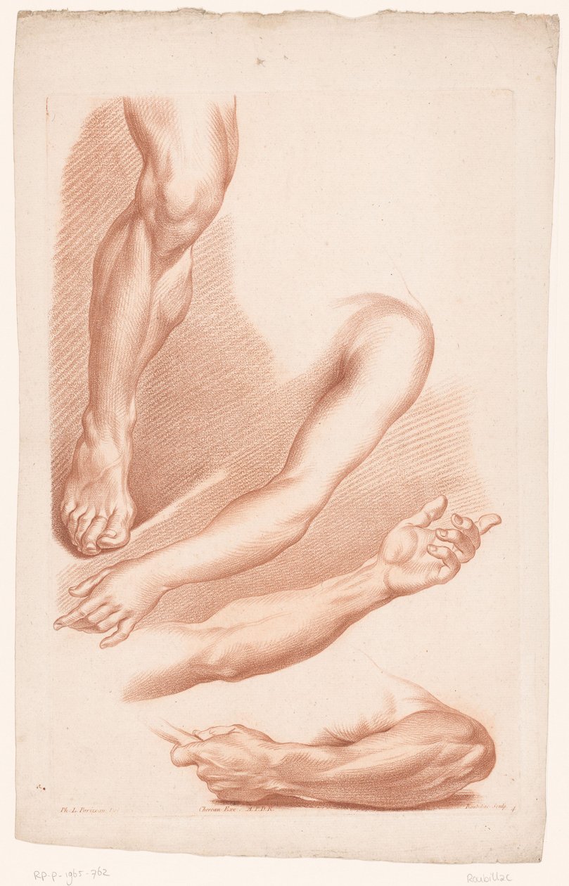 Verschiedene Ansichten eines Beins und Arme von Louis François Roubillac