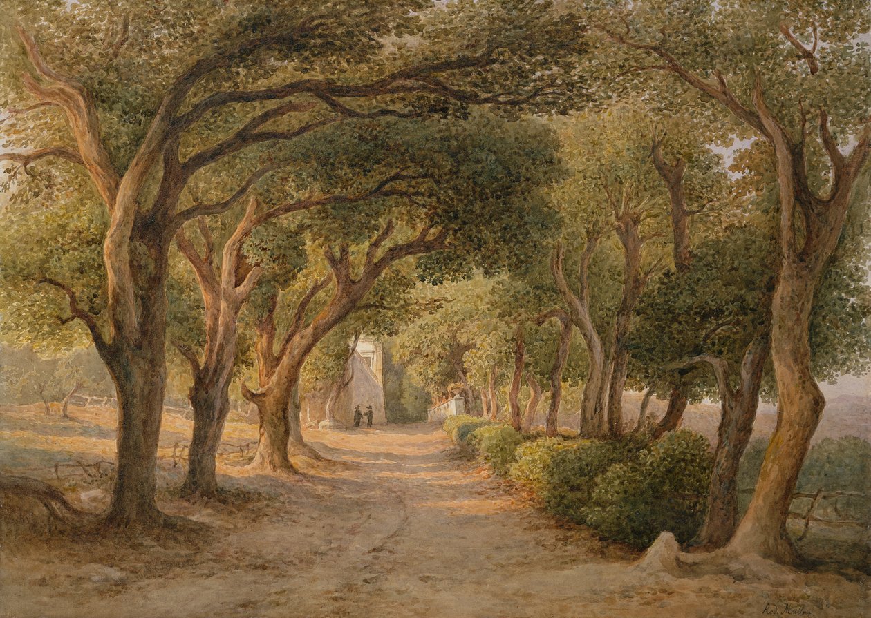 Castel Gandolfo von Rudolf Müller