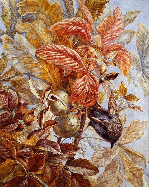 Ein Star in einem Kastanienbaum von Ruth Lindsay: Kunstdruck