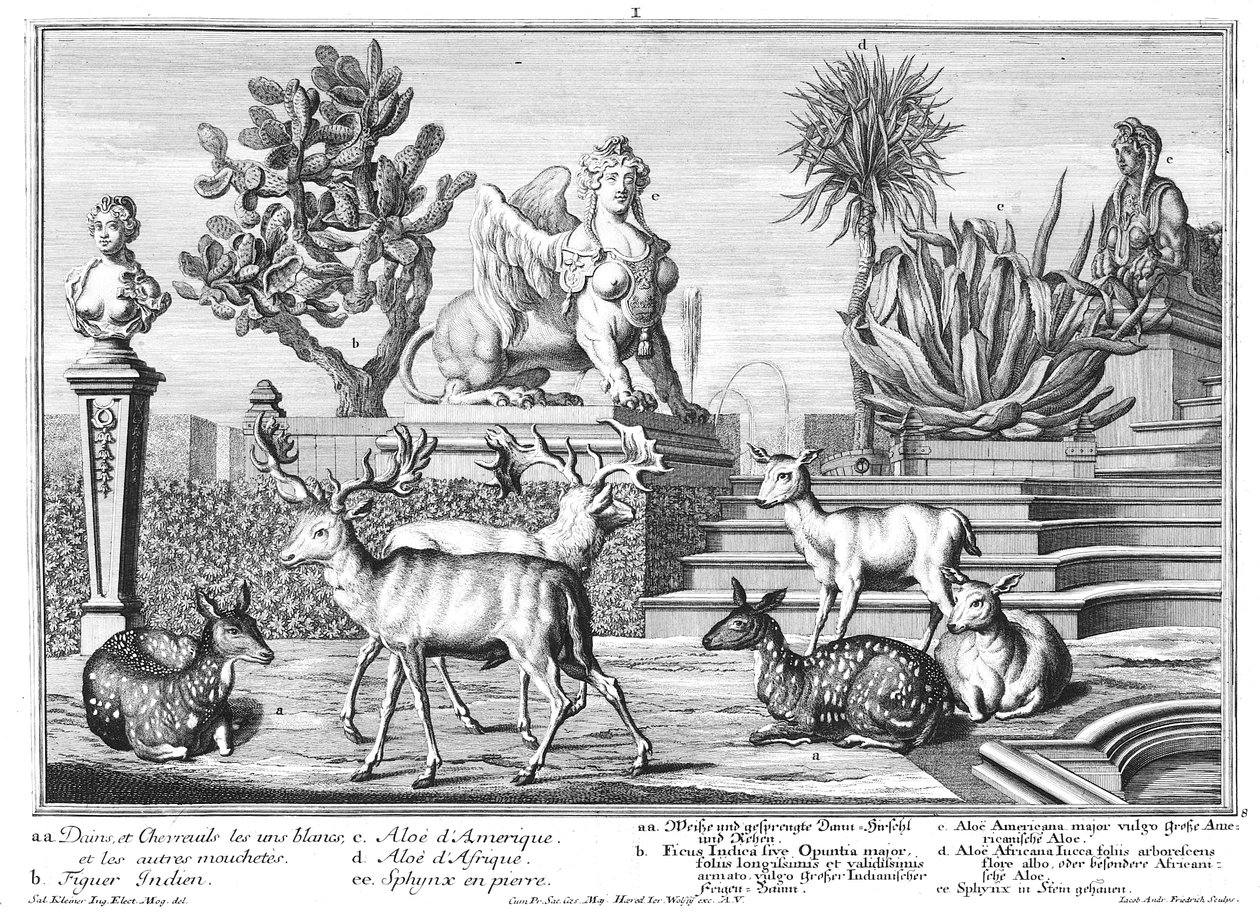 Damwild von Salomon Kleiner