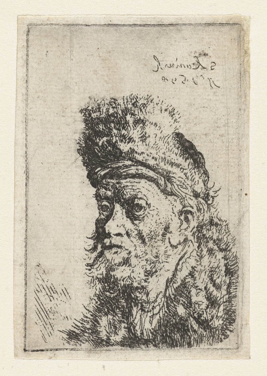 Büste eines Mannes mit Pelzmütze von Salomon Koninck