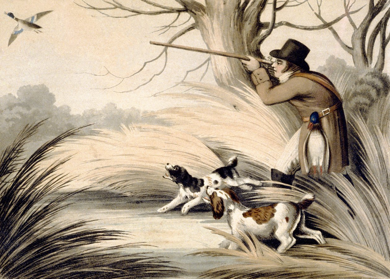 Entenjagd, graviert von H. Merke, ca. 1809 von Samuel (after) Howitt