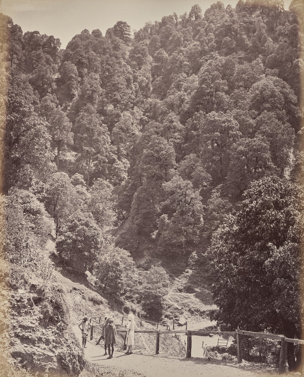 Shimla. Blick nach Norden auf den Mount Jakko von Samuel Bourne