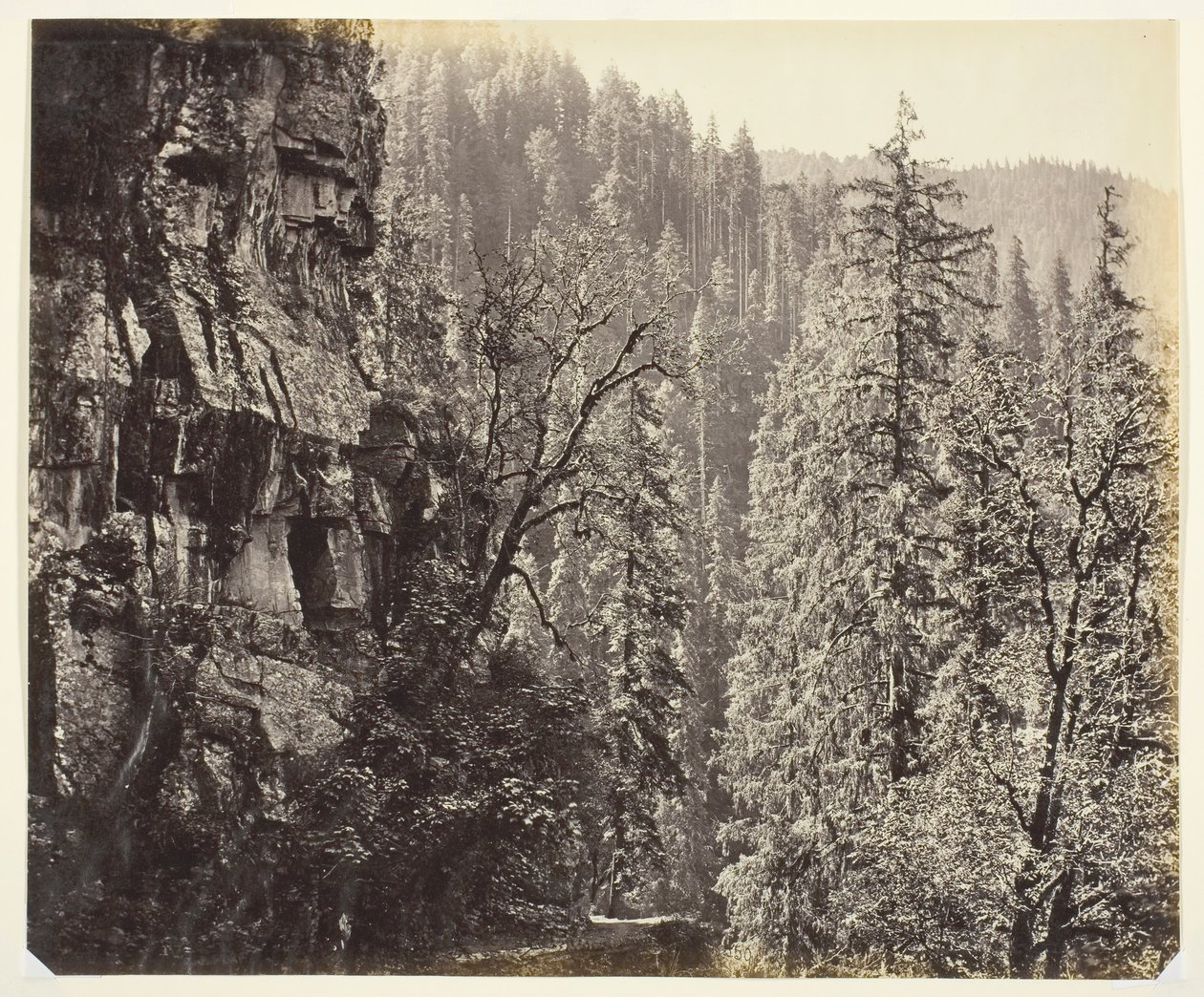 Ohne Titel [Klippen und Bäume], um 1865 von Samuel Bourne