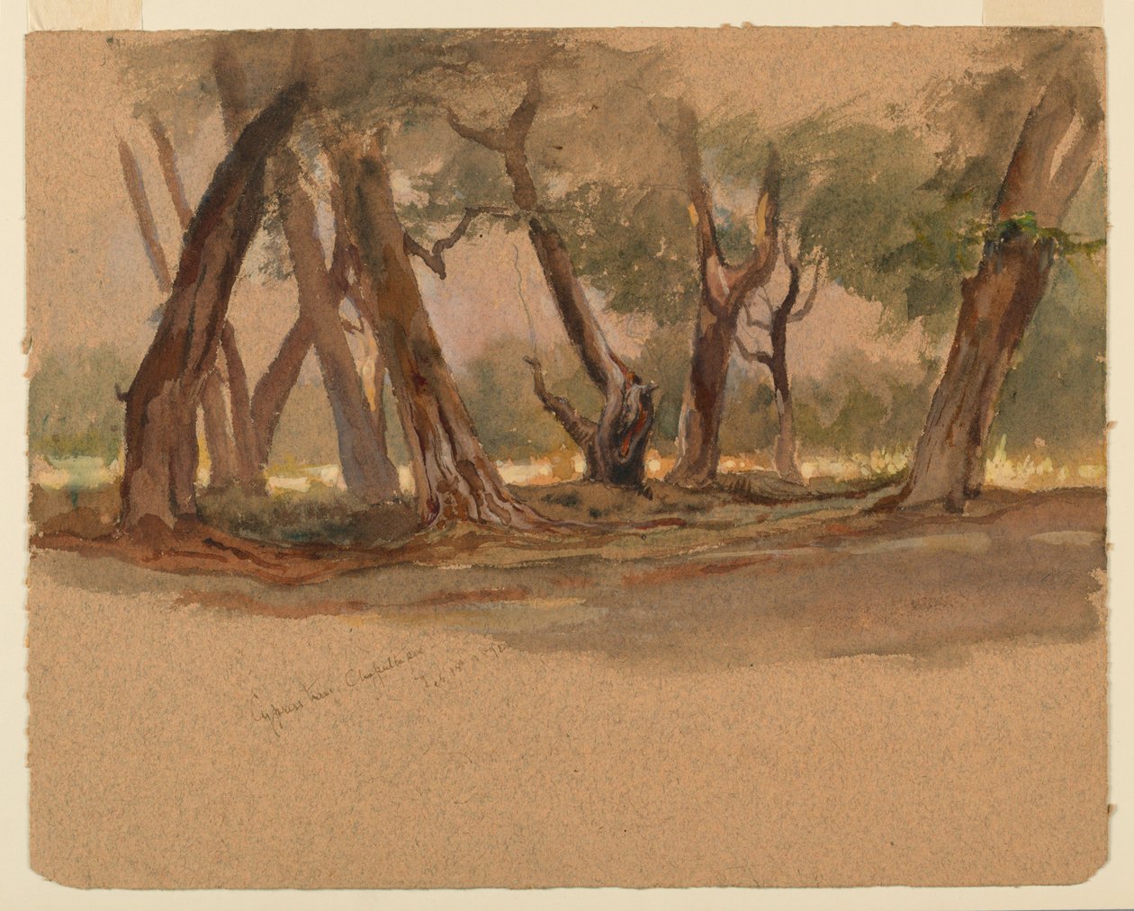 Zypressen, Chapultepec, Mexiko von Samuel Colman