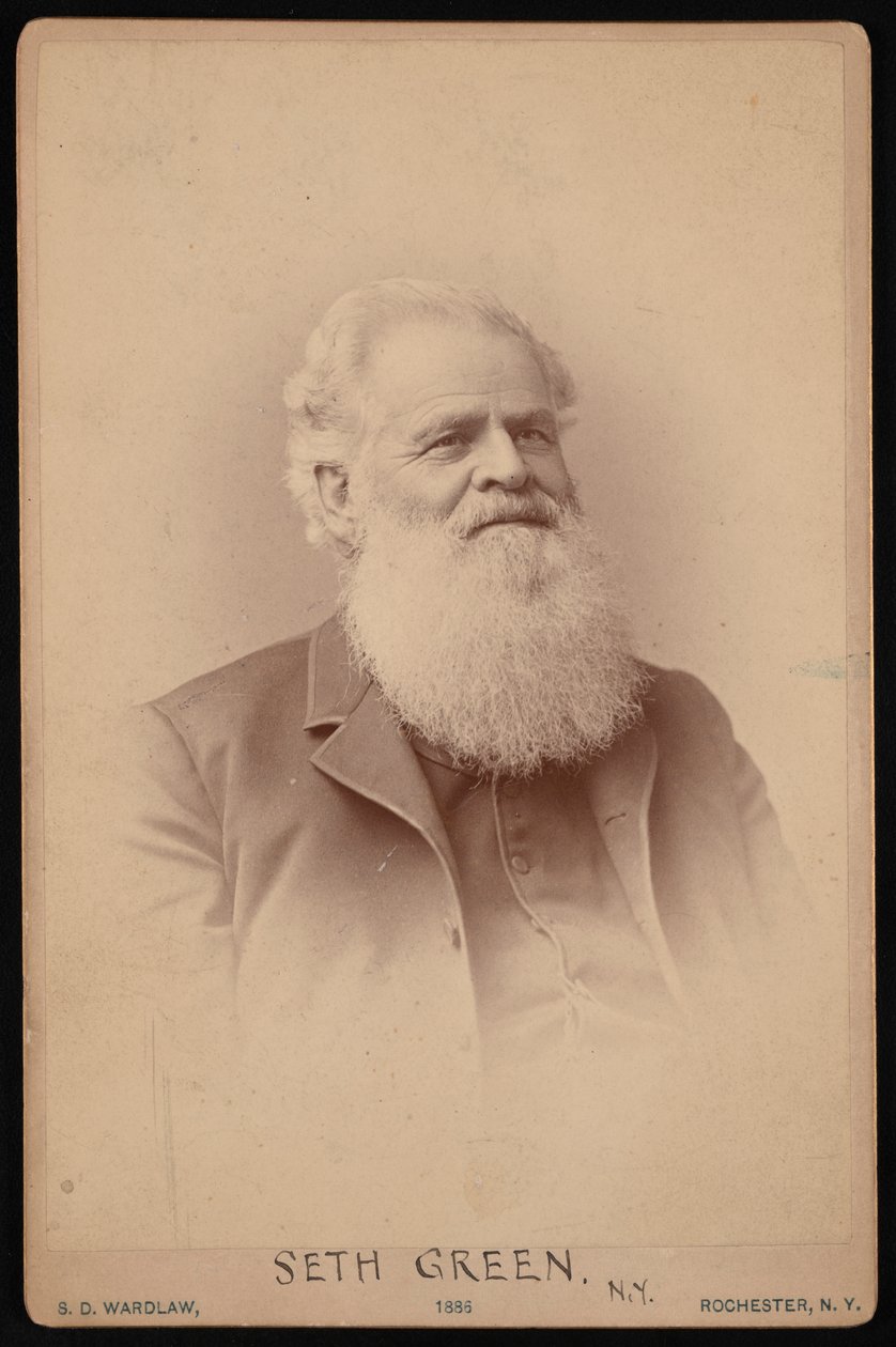 Porträt von Seth Green 1817-1888, 1886 von Samuel D Wardlaw