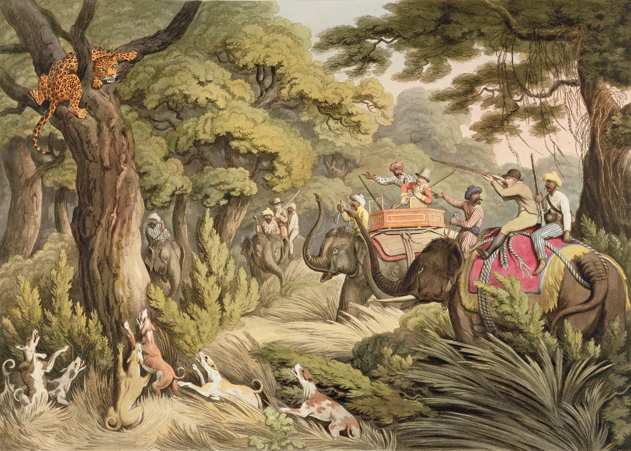 Leopardenjagd, aus Oriental Field Sports, veröffentlicht von Edward Orme, 1807 von Samuel Howett