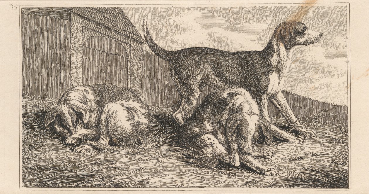 Drei Hunde von Samuel Howitt