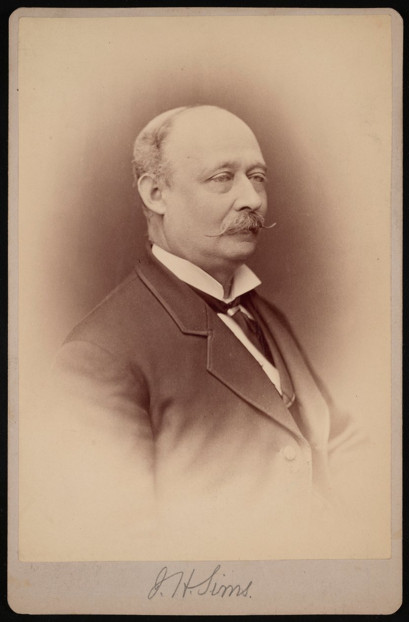 Porträt von J.H. Sims, zwischen 1876 und 1880 von Samuel Montague Fassett