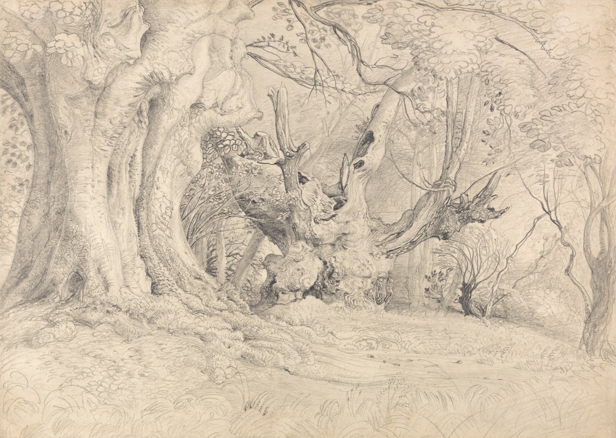 Alte Bäume, Lullingstone Park von Samuel Palmer