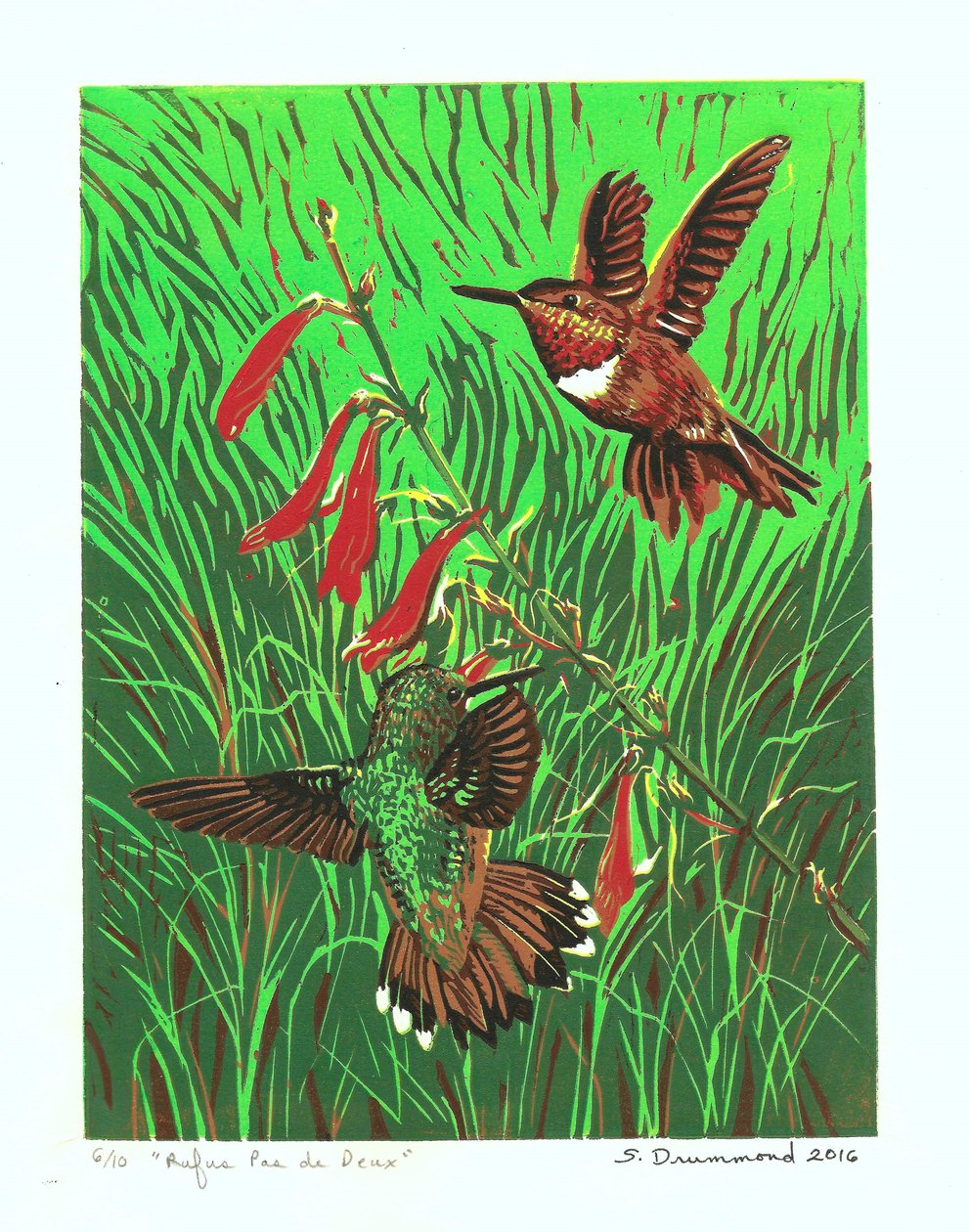 Rufus Pas de Deux, 2016 von Sarah Drummond