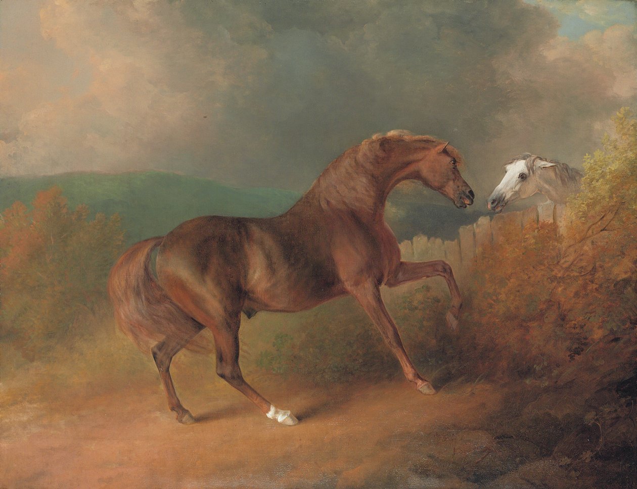 Colonel Thorntons Jupiter, von Eclipse aus einer Stute von Tartar, an einem Zaun, mit einer grauen Stute, in Thornville Royal von Sawrey Gilpin