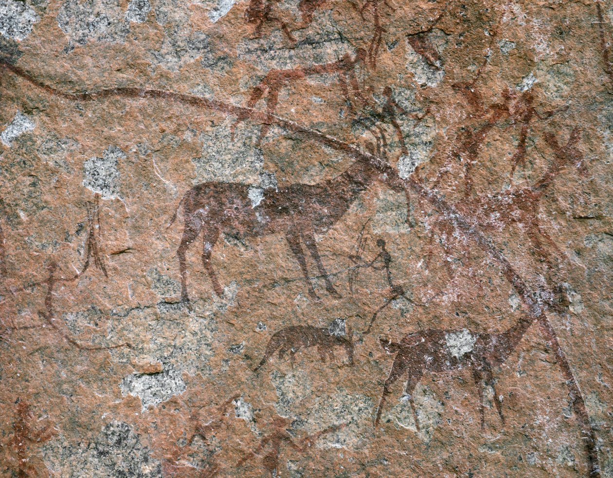AFRIKANISCHE KUNST: Felsmalerei bei Ngomo Carera in der Domboshawa-Range von School African