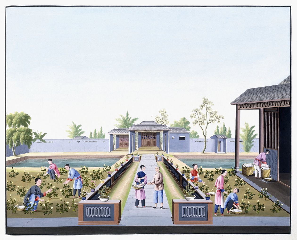 Baumwollernte, ca. 1800 von School Chinese