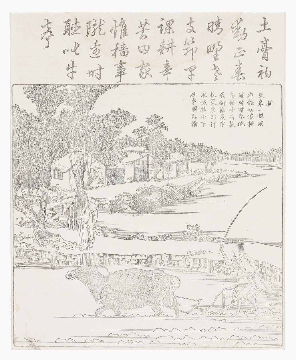 Pflügen mit einem Wasserbüffel im schlammigen Reisfeld von School Chinese