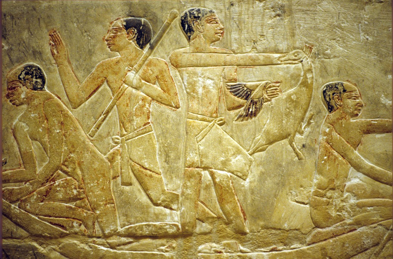 Altes Ägypten, Wandrelief, Mastaba/Grab von Idout, Saqqara, Vögel im Sumpf fangen, 6. Dynastie von School Egyptian