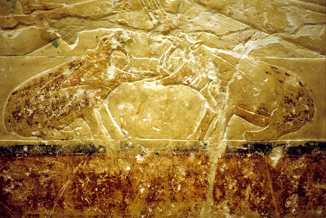 Altes Ägypten, Wandrelief/Malerei, Mastaba/Grab von Idout, Saqqara, 6. Dynastie, Zwei kämpfende Nilpferde von School Egyptian
