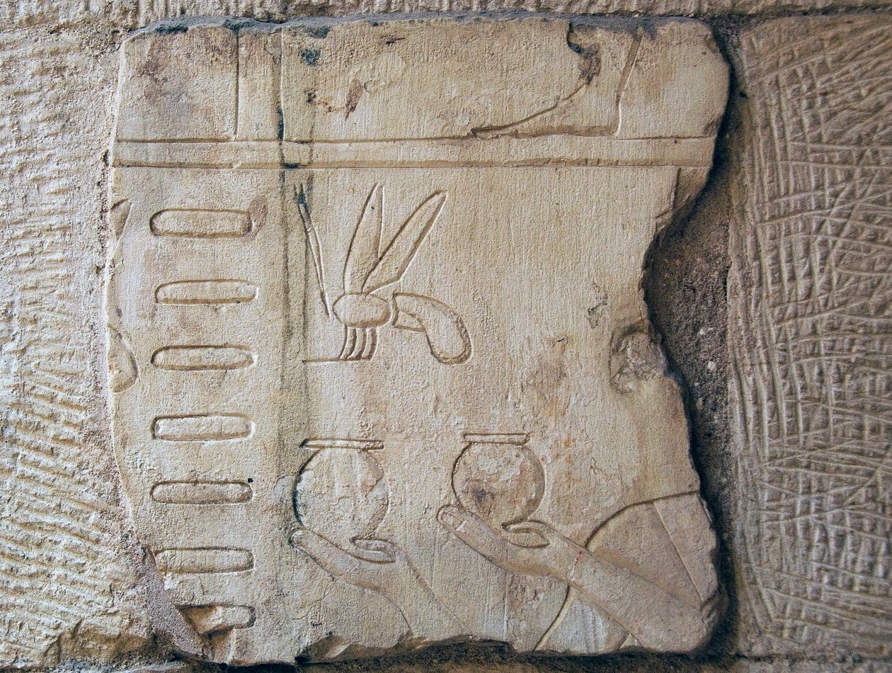 Detail eines Reliefs, Luxor von School Egyptian