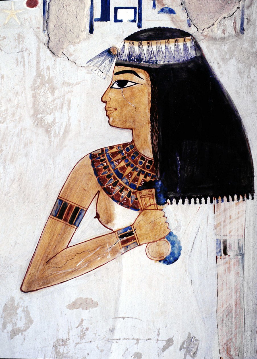 Luxor Theben: Westufer, Nekropole der Adligen, Tal der Adligen. Grab von Menna (18. Dynastie) von School Egyptian