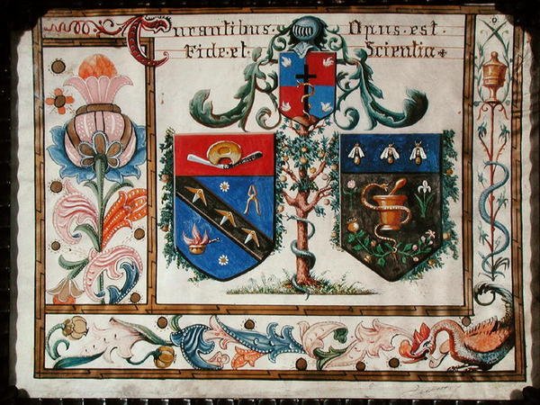 Wappen der Barbierchirurgen und Apotheker von School French