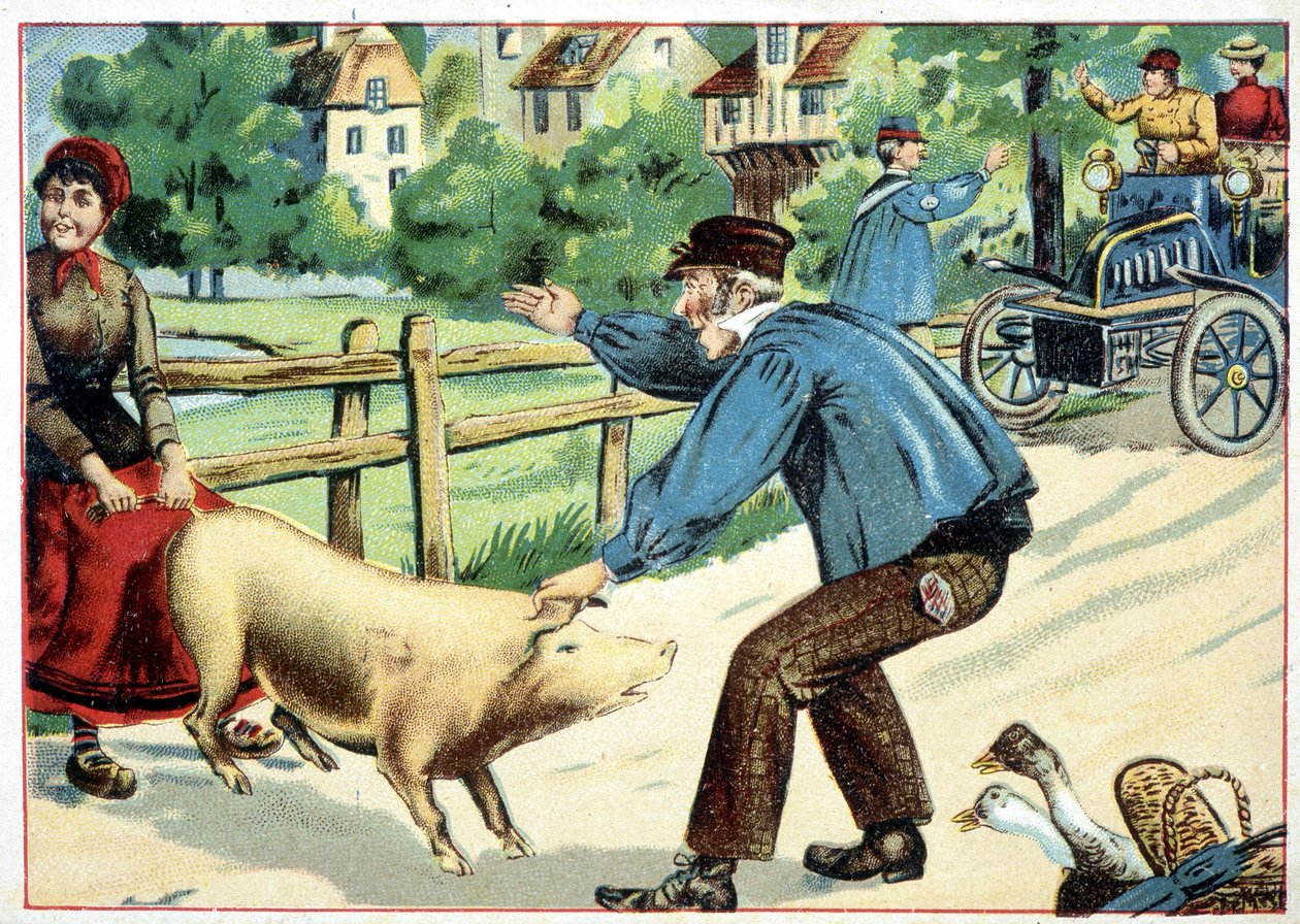 Schwein, das sich weigert vorwärts zu gehen und einem Auto den Weg versperrt - Zeichnung von School French