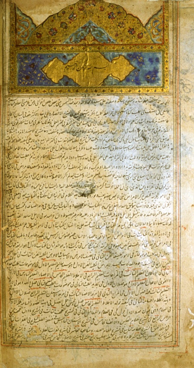 Seite aus dem Kanon der Medizin (al-Qānūn fī aṭ-Ṭibb) von Avicenna von School Iranian