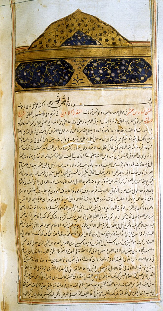 Seite aus dem Kanon der Medizin (al-Qānūn fī aṭ-Ṭibb) von Avicenna von School Iranian
