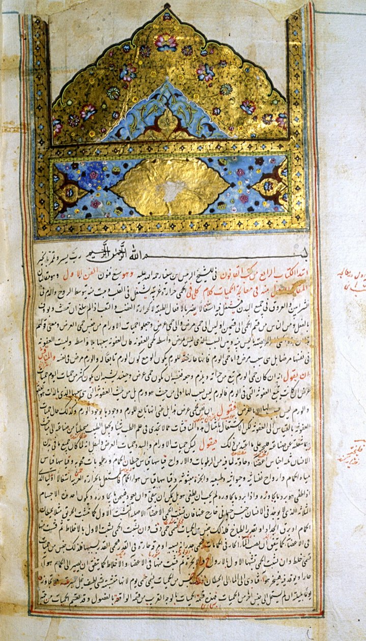 Seite aus dem Kanon der Medizin (al-Qānūn fī aṭ-Ṭibb) von Avicenna von School Iranian
