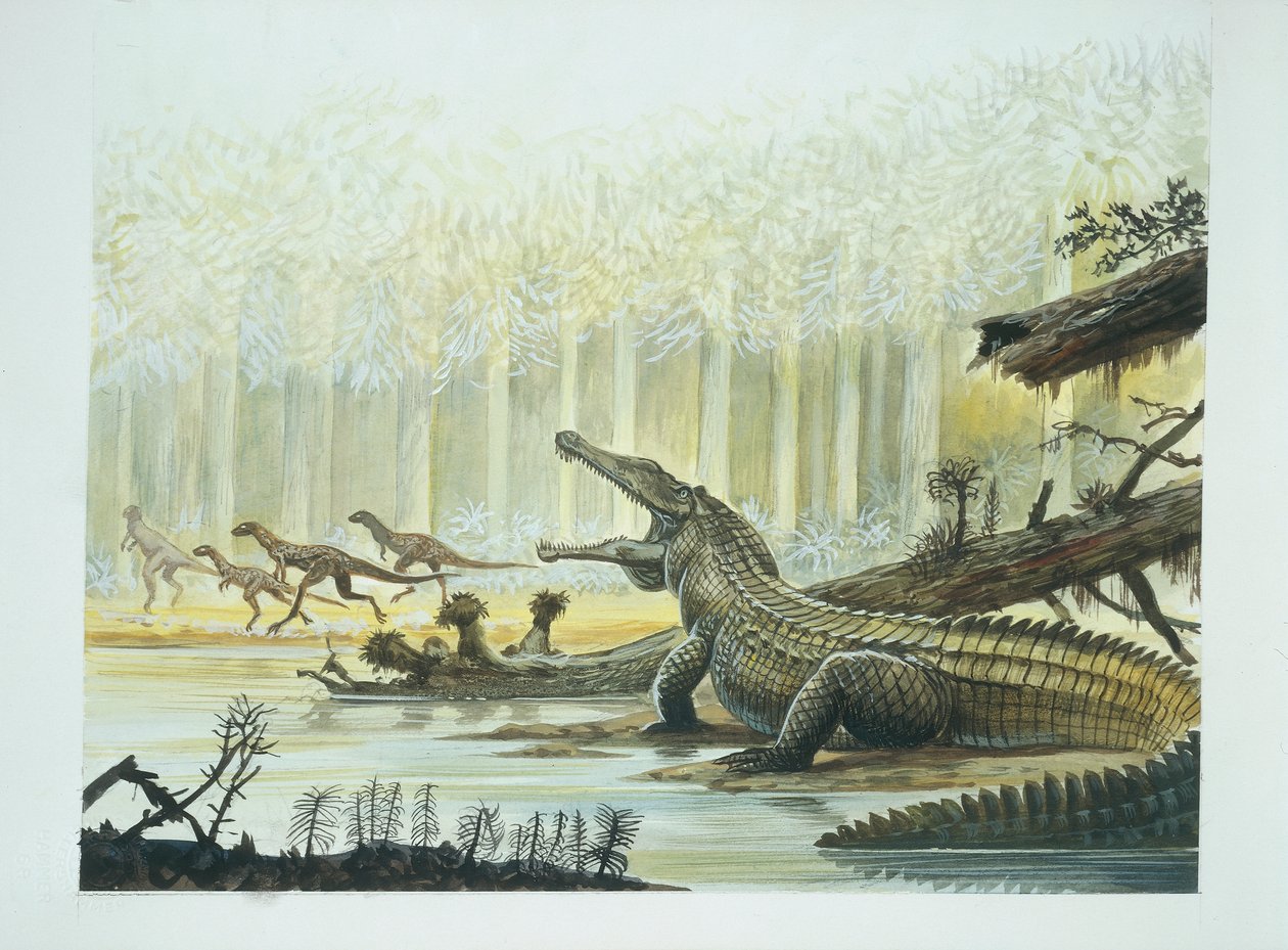 Rutiodon mit Fabrosaurus im Hintergrund, Trias-Periode von School Italian