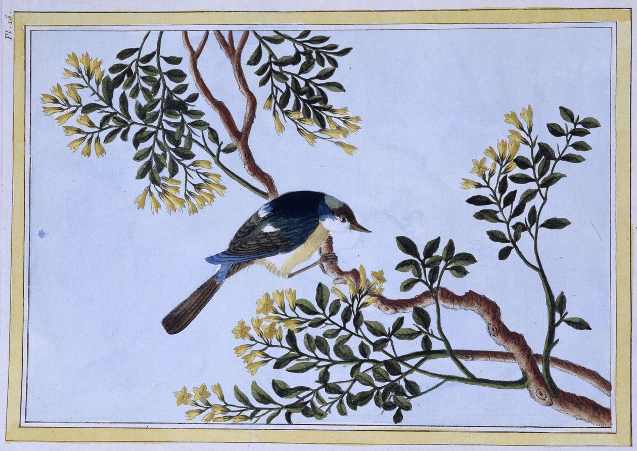Vogel - Japanischer Druck von Japanese School