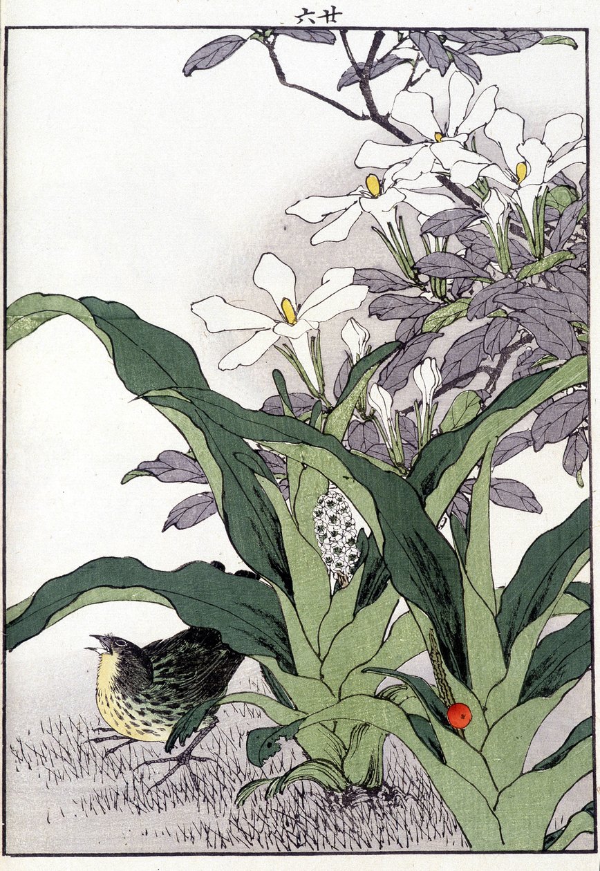 Vogel in den Blumen - Japanischer Druck von Japanese School