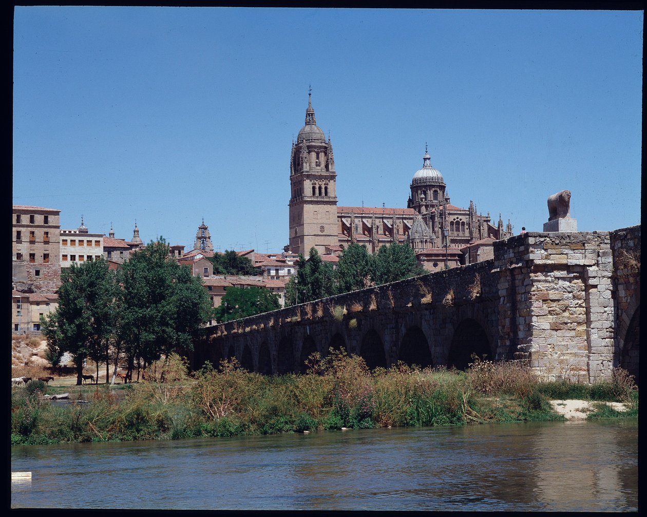 Ansicht der römischen Brücke über den Fluss Tormes und Kathedrale von School Spanish