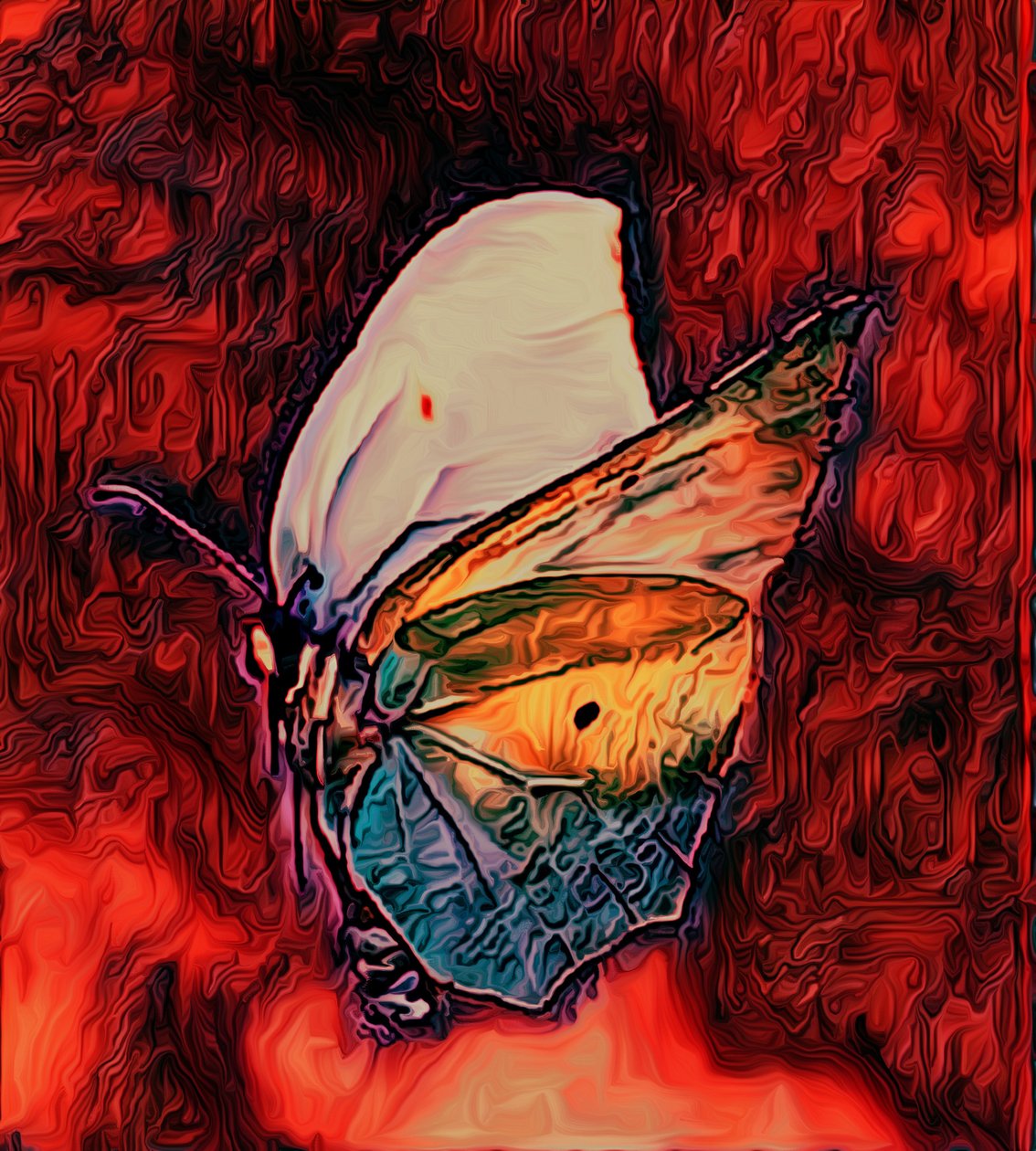 Schmetterling, 2021 von Scott J. Davis