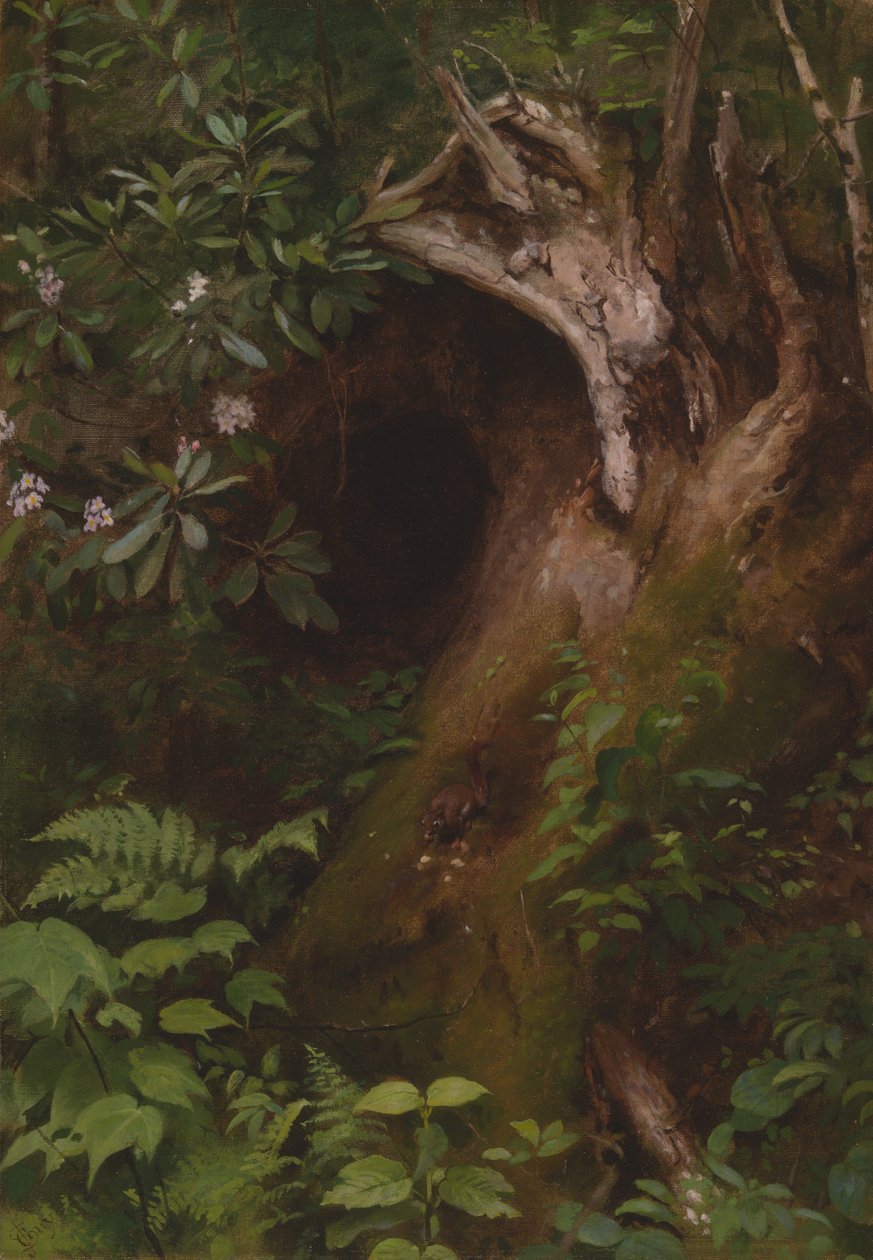 Das Eichhörnchen, 1860er-1870er Jahre von Seymour Joseph Guy