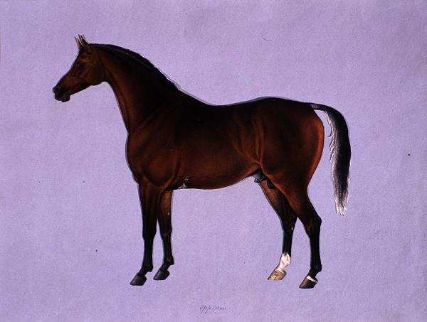 Oppidan, ca. 1840 von Shaik Muhammad Amir of Karraya