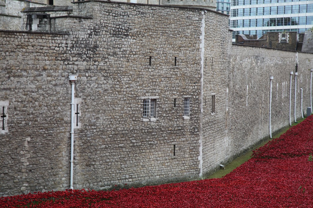 Blood Swept Lands and Seas of Red, Tower of London, 2014 von Sheldon Marshall