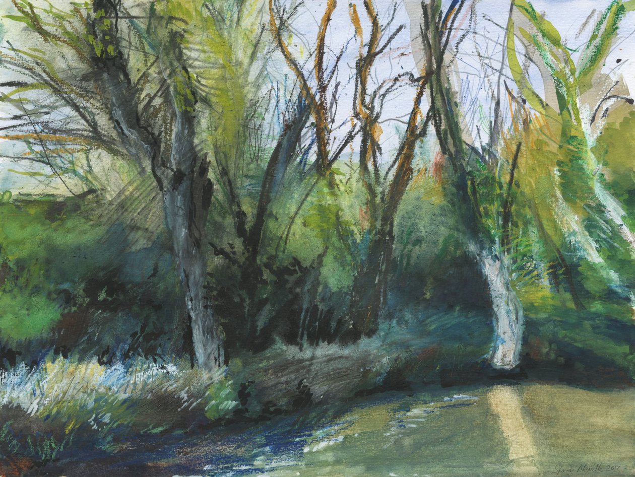 Latchmere Brook, Ham Common von Simon Neville