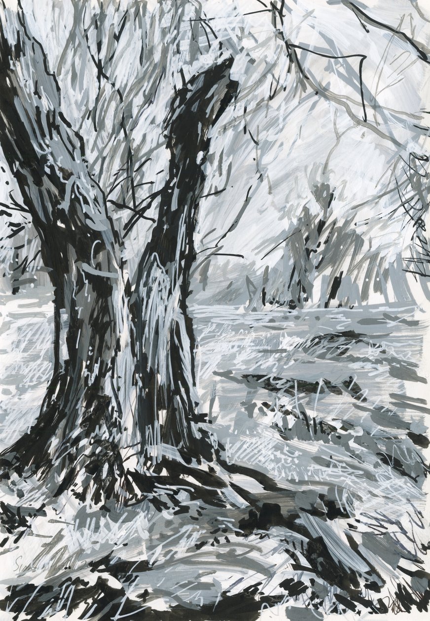 Alter Baum, Richmond Park von Simon Neville