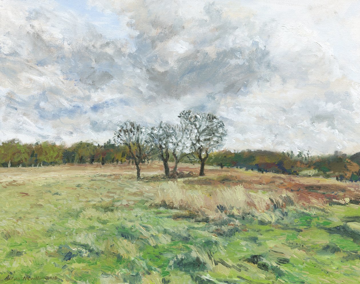 Richmond Park von Simon Neville