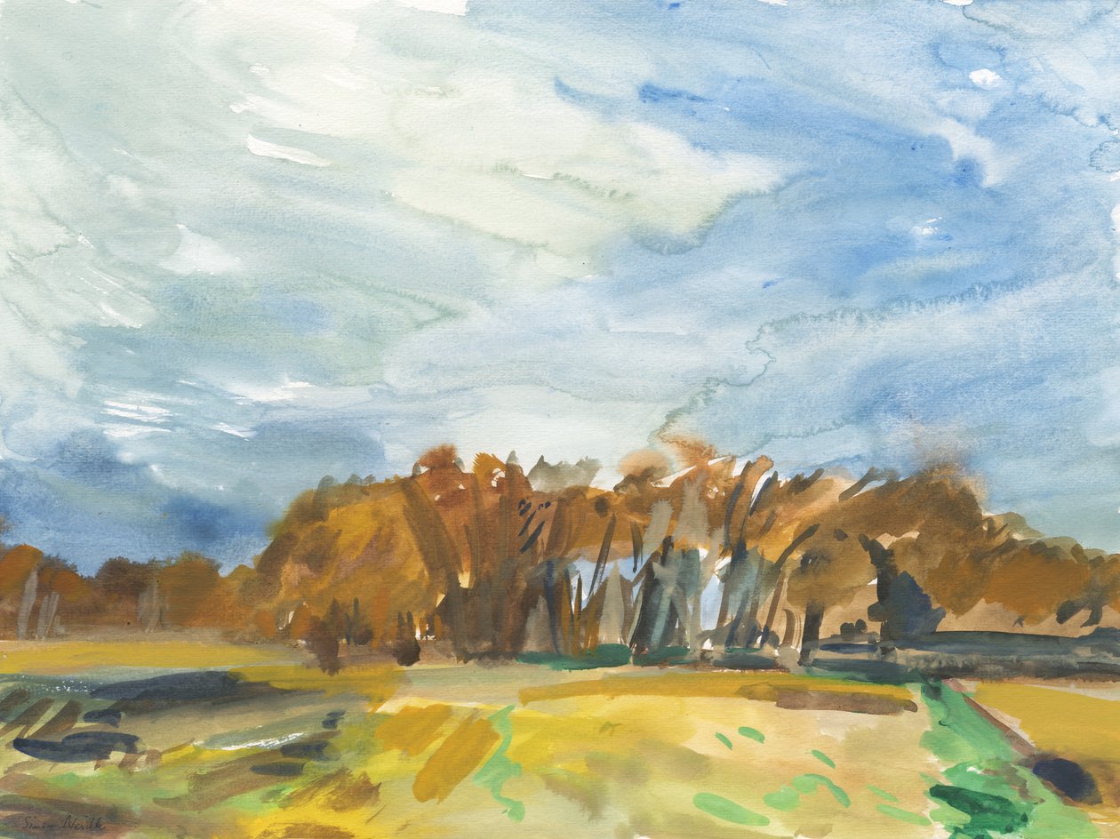 Richmond Park, 2018 von Simon Neville
