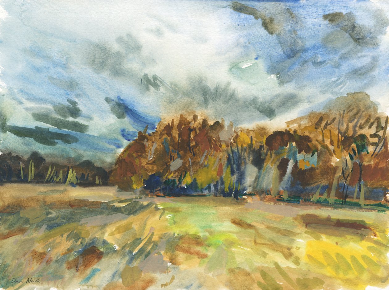 Richmond Park, 2018 von Simon Neville