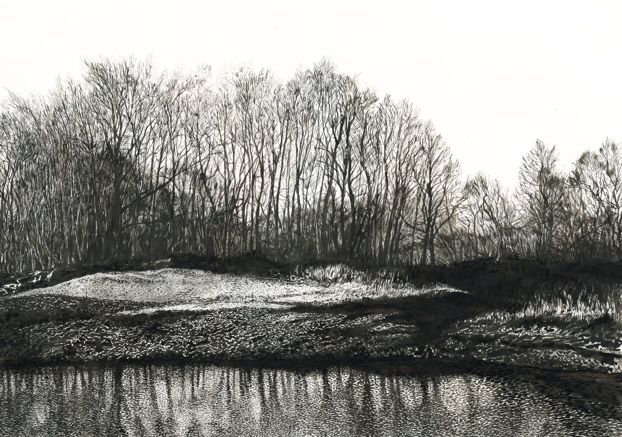 Birkenstand, Burying Hill Beach von Simon Neville
