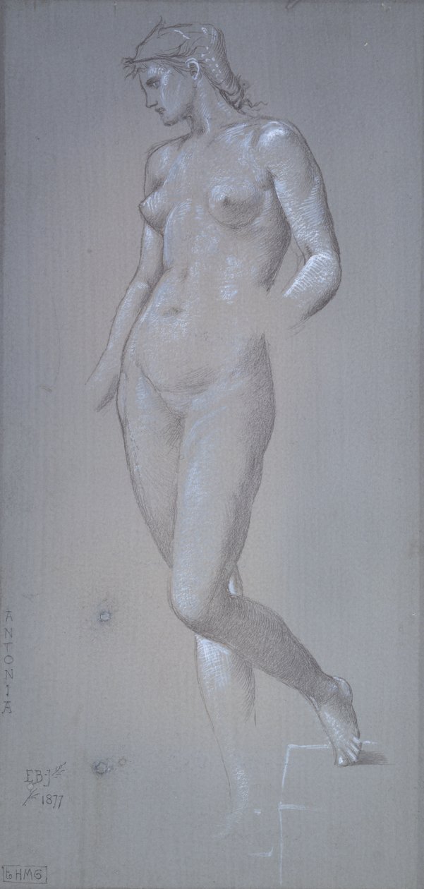 Antonia, 1877 von Sir Edward Coley Burne Jones