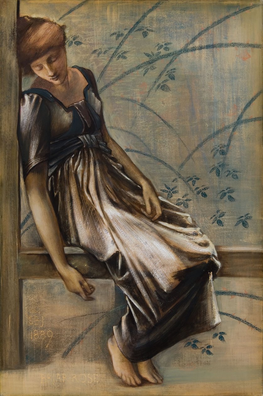 Die Briar-Rose-Serie - Studie für 