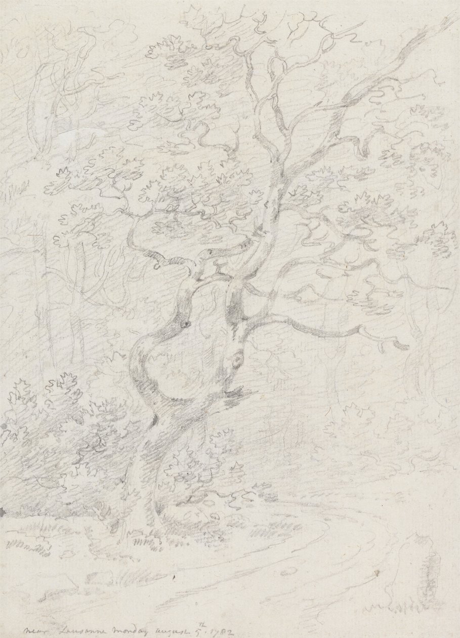 Bäume, nahe Lausanne von Sir George Howland Beaumont seventh Baronet